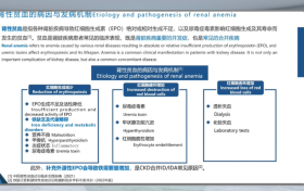 心衰合并肾病与贫血：李氏医学探索的临床视角