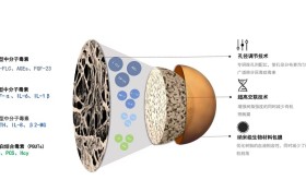 从源头定制清毒方案：健帆全血灌流如何精准实现血液净化？